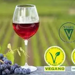 Copa de vino tinto junto a uvas. Sellos vegano y vegetariano indican porque el vino no es vegano.
