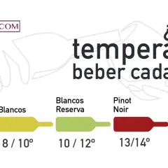 Guía de temperatura ideal para cada vino: espumosos (6-8°), blancos (8-10°), reserva (10-12°), Pinot Noir (13-14°) y tinto (16-18°).
