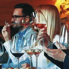 Degustación de vinos. Personas disfrutan de copas de vino tinto y rosado, aprendiendo qué es un vino generoso.