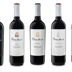 Variedad de **mejores vinos de Aranda de Duero** de la marca Tierra Aranda: tintos reserva, roble, crianza, tinto joven, rosado y blanco verdejo.