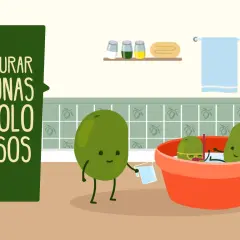 Ilustración de cómo curar aceitunas verdes en 4 pasos. Unas aceitunas animadas preparan su baño.