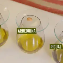 Aceites de oliva virgen extra: Cornicabra, Arbequina y Picual. Cada uno con una aceituna, mostrando los distintos nutrientes del aceite de oliva.