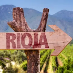 Flecha de madera rústica con la palabra "RIOJA" en rojo, apuntando hacia un paisaje de viñedos y montañas.