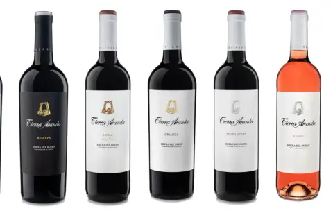 Variedad de **mejores vinos de Aranda de Duero** de la marca Tierra Aranda: tintos reserva, roble, crianza, tinto joven, rosado y blanco verdejo.