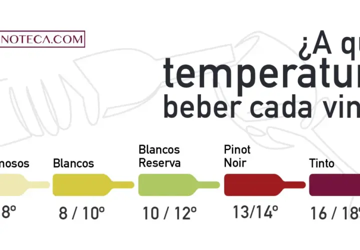 Guía de temperatura ideal para cada vino: espumosos (6-8°), blancos (8-10°), reserva (10-12°), Pinot Noir (13-14°) y tinto (16-18°).