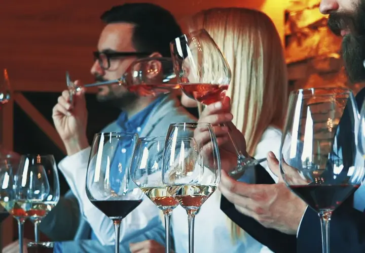 Degustación de vinos. Personas disfrutan de copas de vino tinto y rosado, aprendiendo qué es un vino generoso.
