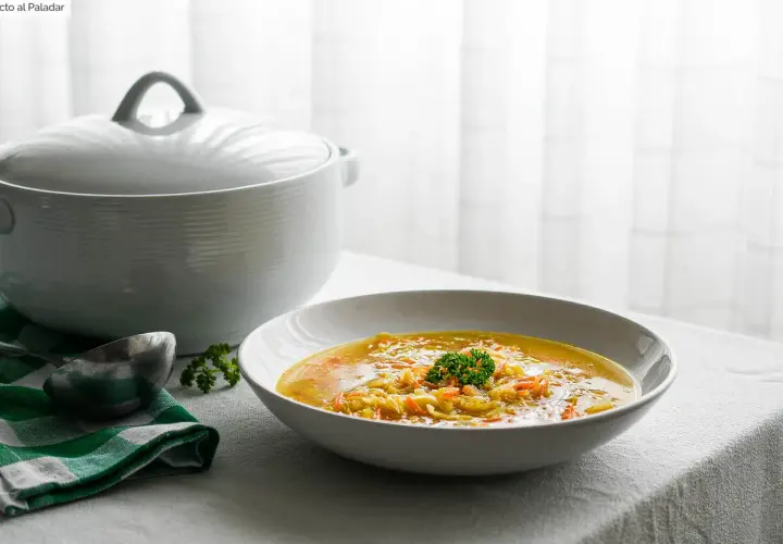 Un plato humeante de sopa juliana, con verduras cortadas finas y un toque de perejil, listo para servir desde una olla blanca.