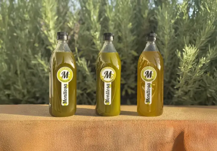 Tres botellas de aceite de oliva virgen extra Monttosa, con etiquetas amarillas y verdes, reposan sobre una superficie de piedra ante un fondo de vegetación.
