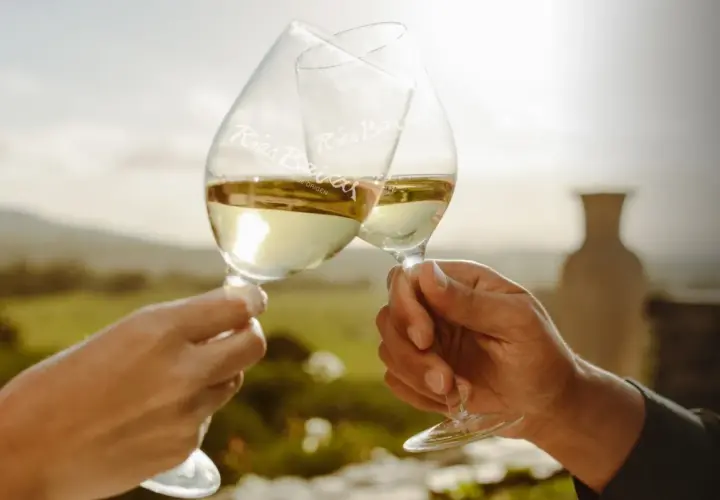 Dos copas de vinos blancos gallegos tipos Rías Baixas chocan en un brindis, con un paisaje verde al fondo.
