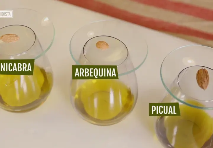 Aceites de oliva virgen extra: Cornicabra, Arbequina y Picual. Cada uno con una aceituna, mostrando los distintos nutrientes del aceite de oliva.