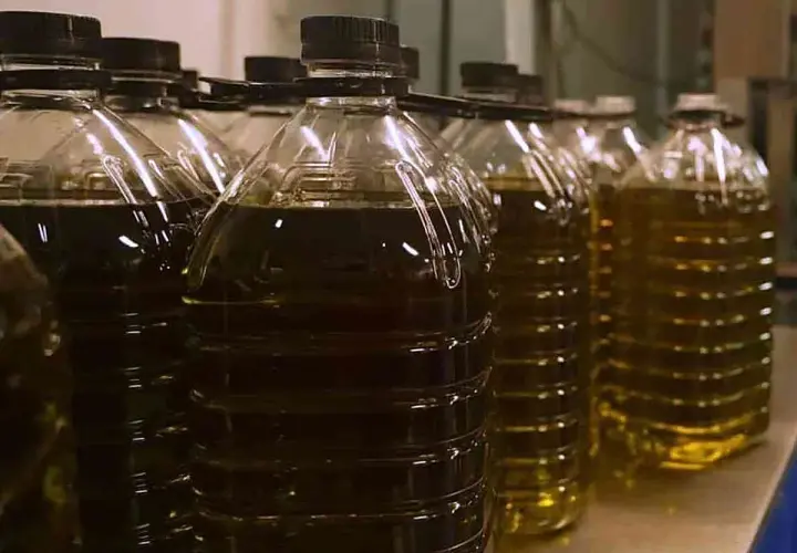Botellas de plástico con aceite de oliva oscuro y claro. Podría ser aceite lampante, un aceite de baja calidad para lámparas.