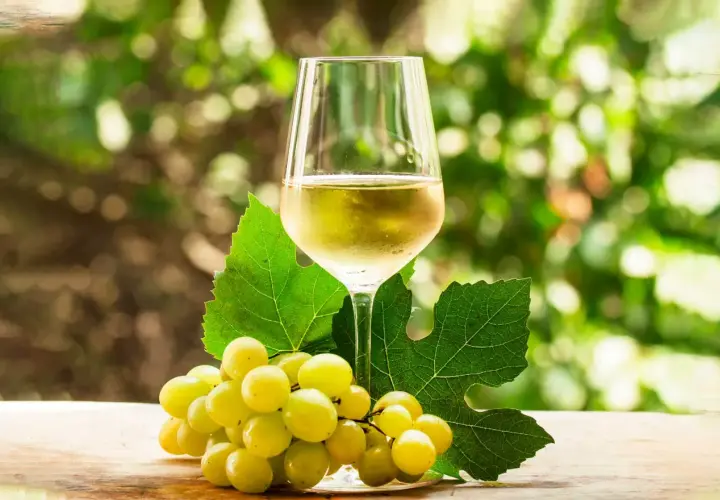 Copa de vino blanco con uvas verdes y hojas, evocando la diferencia entre Rueda y Verdejo.