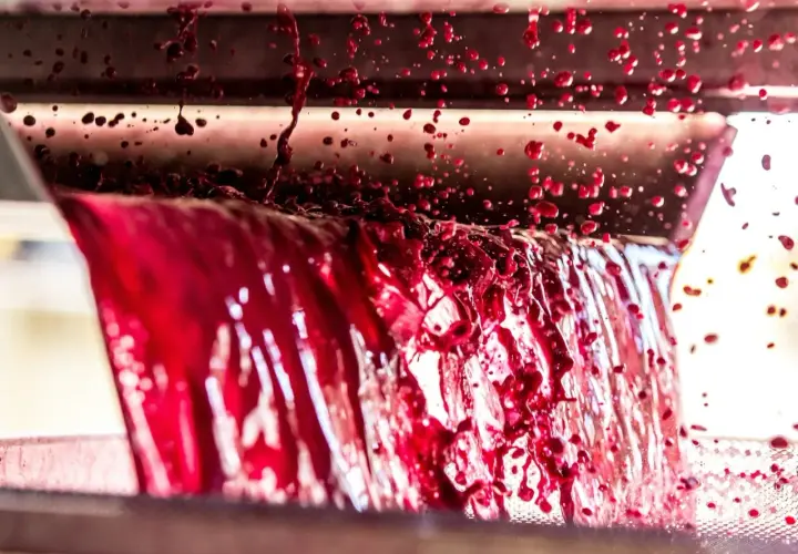 El mosto concentrado rectificado fluye en cascada, salpicando gotas rojas intensas.