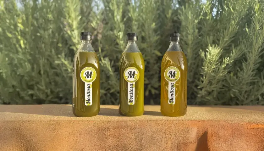 Tres botellas de aceite de oliva virgen extra Monttosa, con etiquetas amarillas y verdes, reposan sobre una superficie de piedra ante un fondo de vegetación.