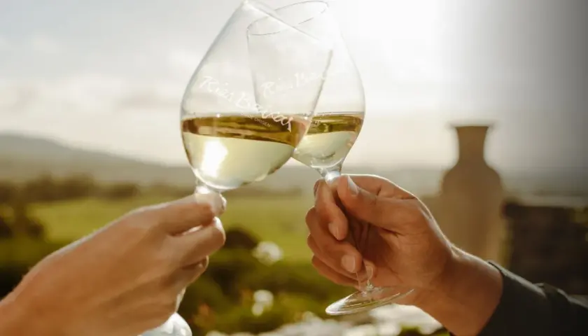 Dos copas de vinos blancos gallegos tipos Rías Baixas chocan en un brindis, con un paisaje verde al fondo.