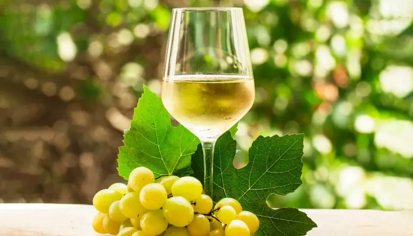 Copa de vino blanco con uvas verdes y hojas, evocando la diferencia entre Rueda y Verdejo.