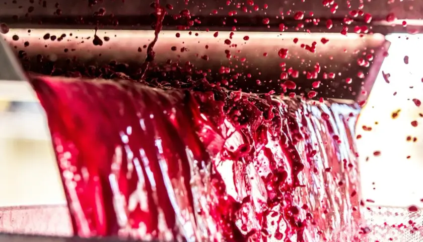 El mosto concentrado rectificado fluye en cascada, salpicando gotas rojas intensas.