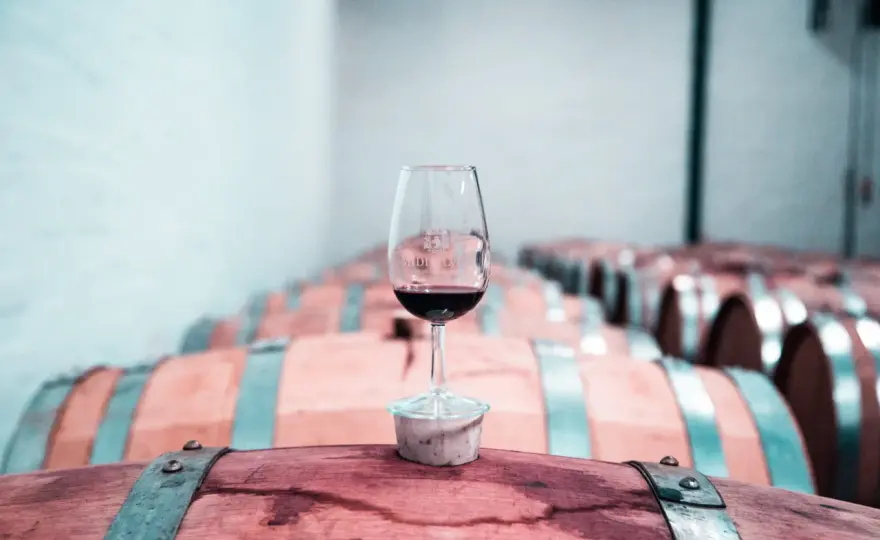 Crianza vs. Reserva - Guía para elegir el vino perfecto