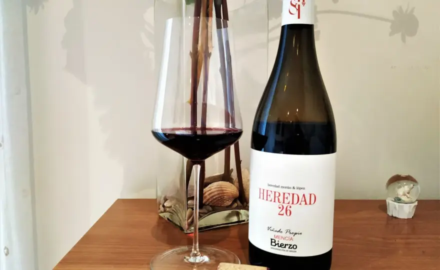 Vino del Bierzo - Guía completa para elegir y disfrutar