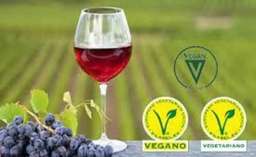 Vino vegano - Guía para elegir y reconocer en España