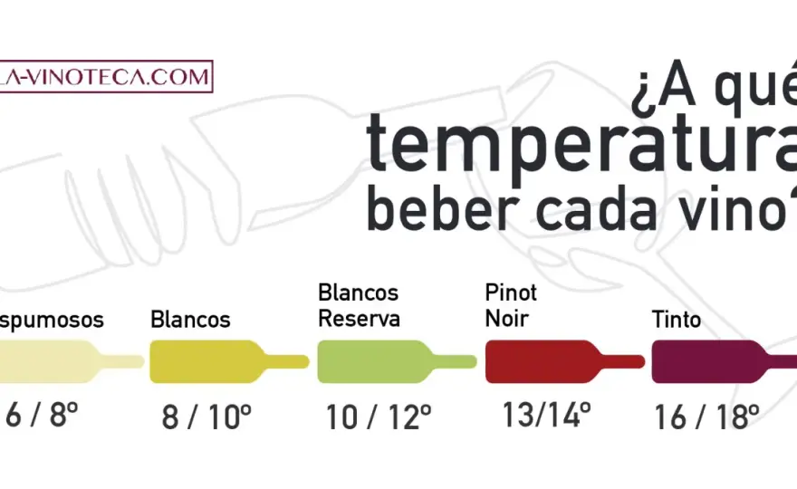 Temperatura vino tinto: la guía definitiva para servirlo bien