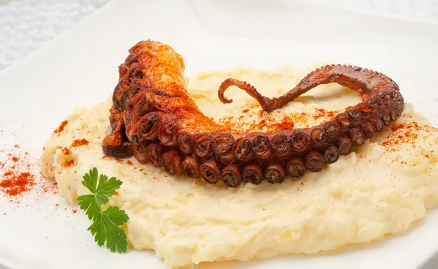 Pulpo a la plancha perfecto - Evita errores y logra el éxito