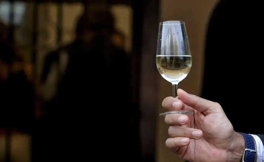 Fino vs Manzanilla - Guía definitiva para elegir el mejor