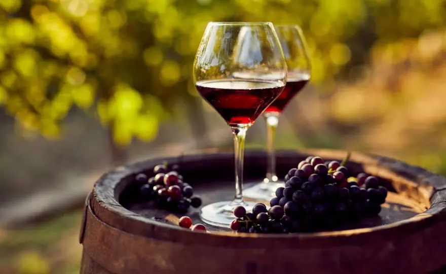Añadas de vino en España - ¿Cuáles valen la pena?