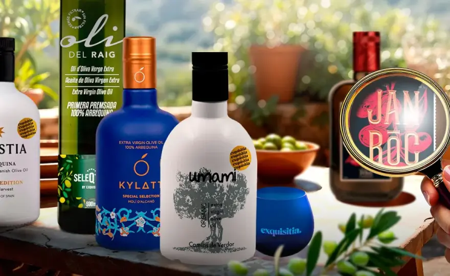 Aceite del Matarraña - ¿Cómo elegir el mejor AOVE?