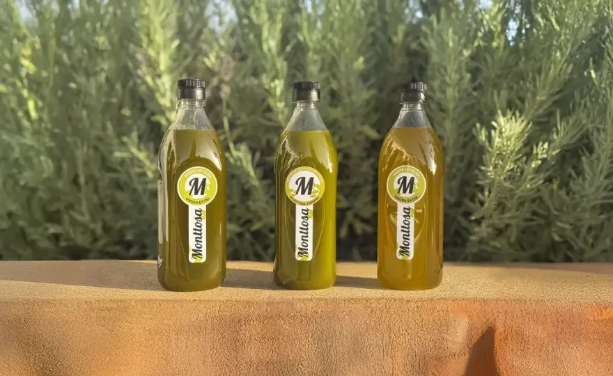 ¿Cuánto pesa 1 litro de aceite de oliva? Guía práctica