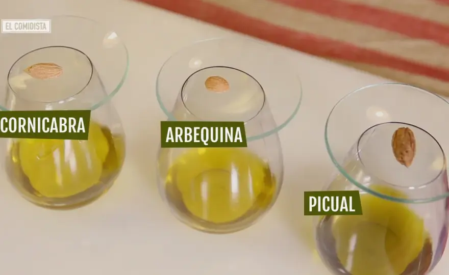 Aceite de oliva: ¿realmente sabes lo que aporta? Guía completa