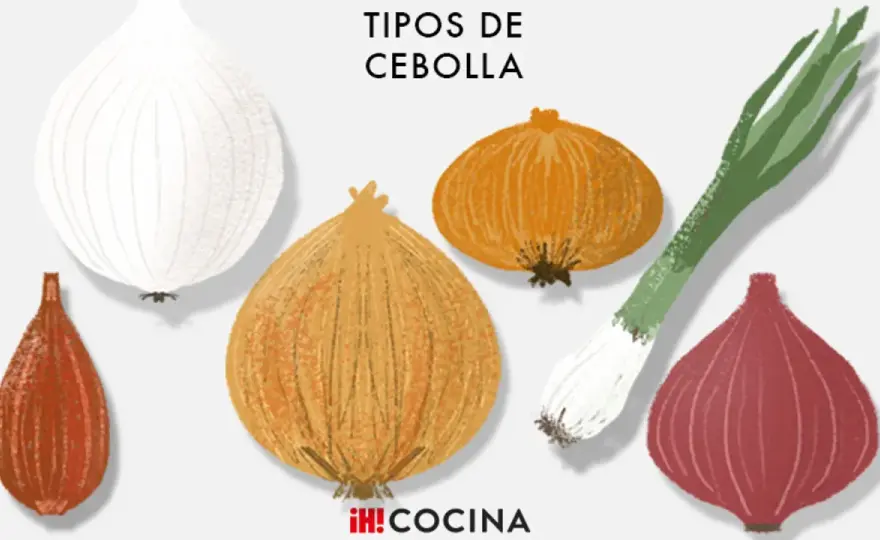 Cebollas en la cocina española - Elige la perfecta