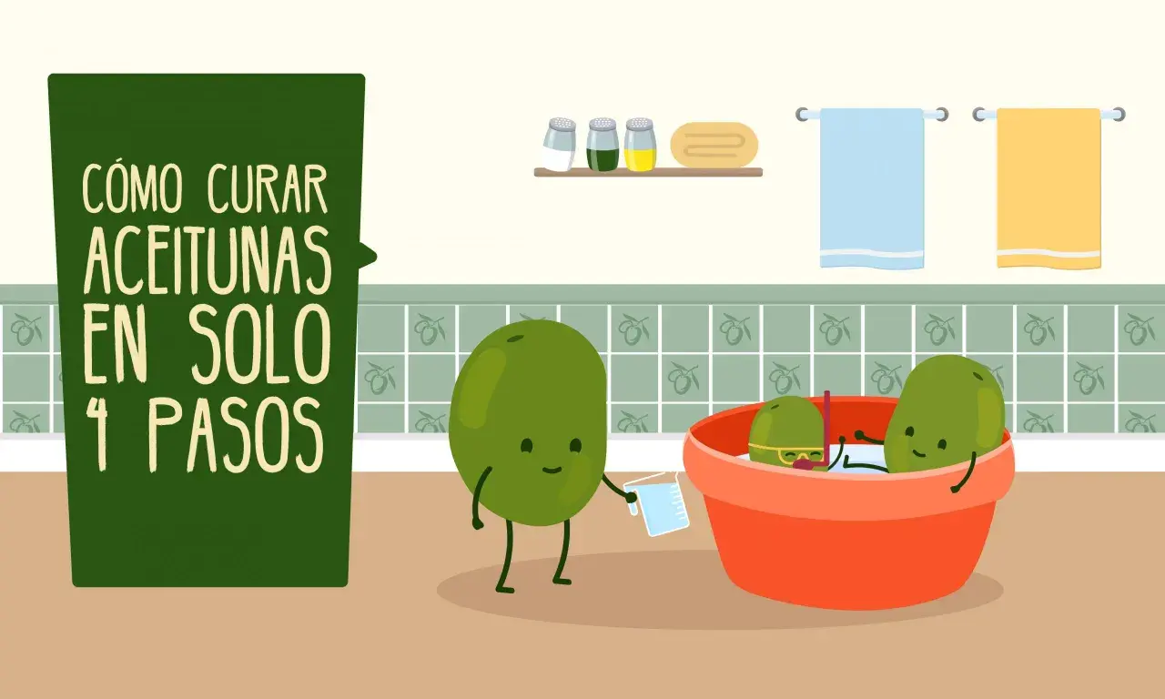 Ilustración de cómo curar aceitunas verdes en 4 pasos. Unas aceitunas animadas preparan su baño.