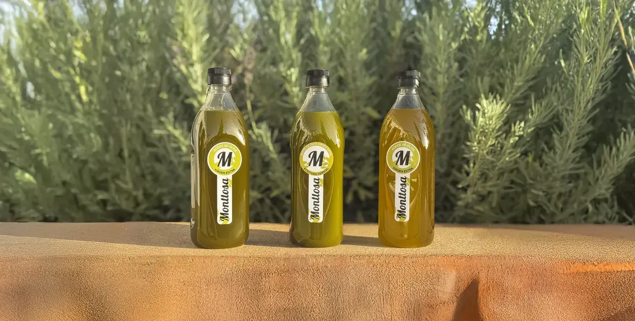 Tres botellas de aceite de oliva virgen extra Monttosa, con etiquetas amarillas y verdes, reposan sobre una superficie de piedra ante un fondo de vegetación.