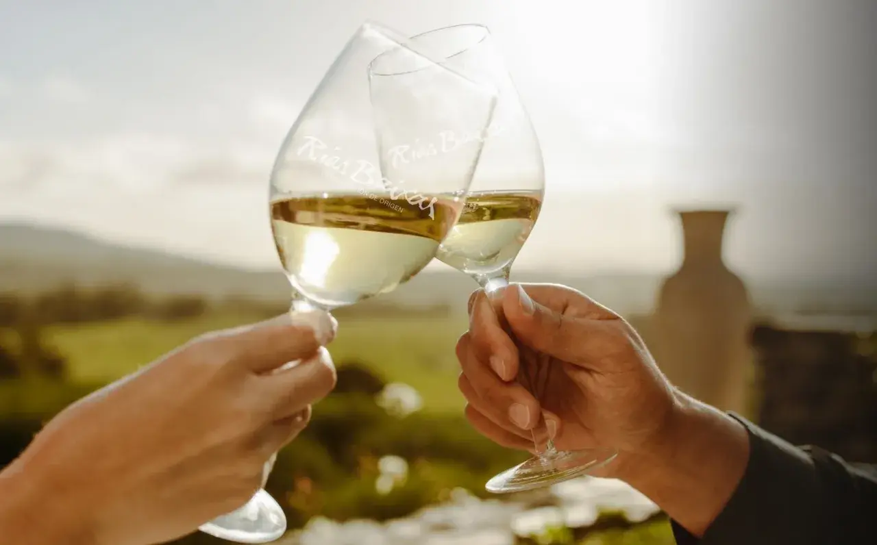 Dos copas de vinos blancos gallegos tipos Rías Baixas chocan en un brindis, con un paisaje verde al fondo.