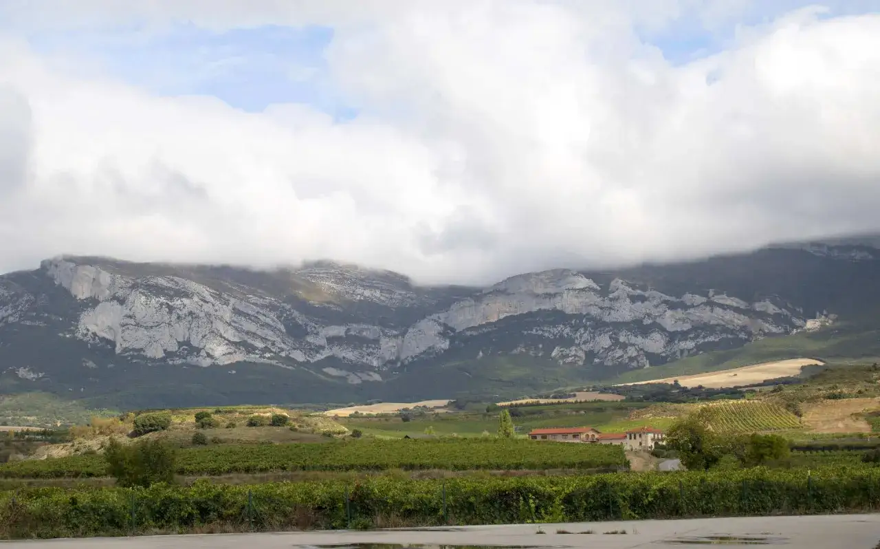 Paisaje de vi&ntilde;edos y monta&ntilde;as en los altos de Rioja, con nubes cubriendo las cumbres.
