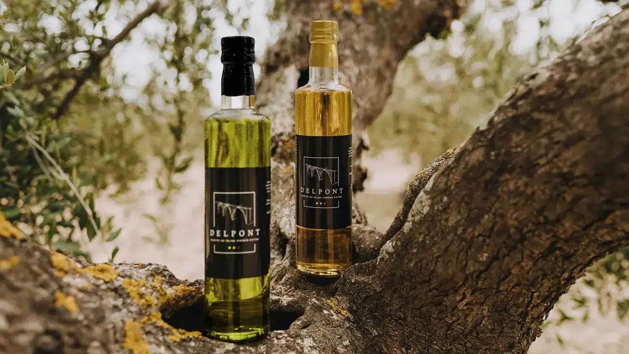 Dos botellas de aceite de oliva virgen extra Delpont, el mejor aceite del Matarraña, reposan sobre la rama de un olivo centenario.
