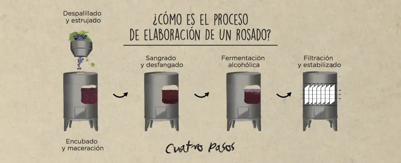 Ilustraci&oacute;n muestra c&oacute;mo se hace el vino rosado en cuatro pasos: despalillado, sangrado, fermentaci&oacute;n y filtraci&oacute;n.