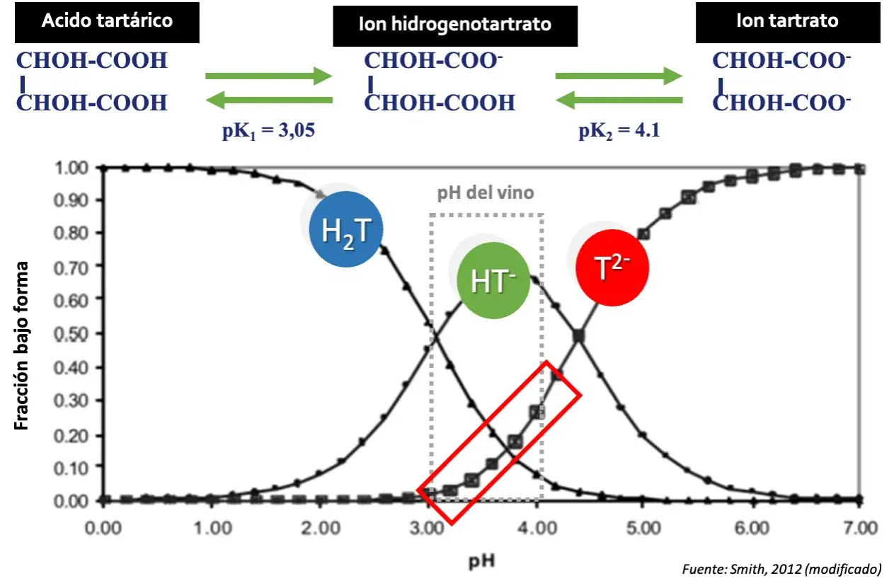 Gr&aacute;fico de la disociaci&oacute;n del &aacute;cido tart&aacute;rico, mostrando c&oacute;mo el &aacute;cido tart&aacute;rico para que sirve en diferentes pH, formando iones H₂T, HT⁻ y T&sup2;⁻.